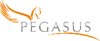 Pegasus Consultancy-Easy Project Partner Pegasus Consultancy-Easy Project Partner