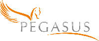 Pegasus Consultancy-Easyプロジェクトパートナー
