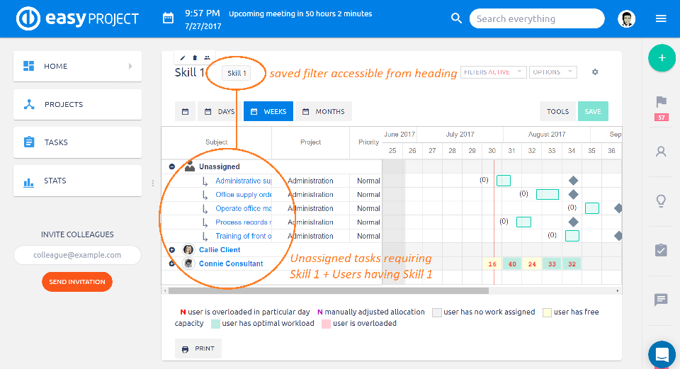 Easy Project skills management Easy Project skills management
