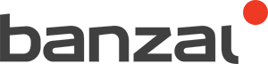 Banzai - מקרה מחקר על יישום מוצלח של תוכנת הפרויקט