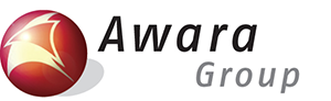 Awara IT Solutions - a case study on the implementation of software project management Awara IT Solutions - a case study on the implementation of software project management