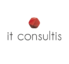 IT Consultis - Easy Project IT Consultis - Easy Project