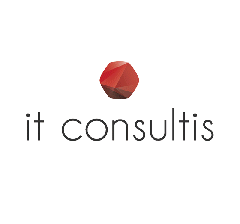 IT Consultis - let projekt