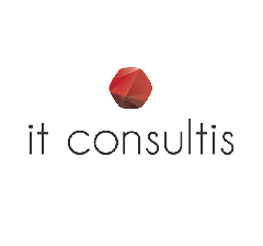 IT Consultis - let projekt IT Consultis - let projekt