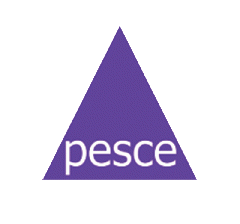 Pesce Pty Ltd  - 簡単なプロジェクト