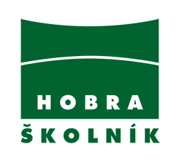 project-management-in-a-production-company-hobra-skolnik
